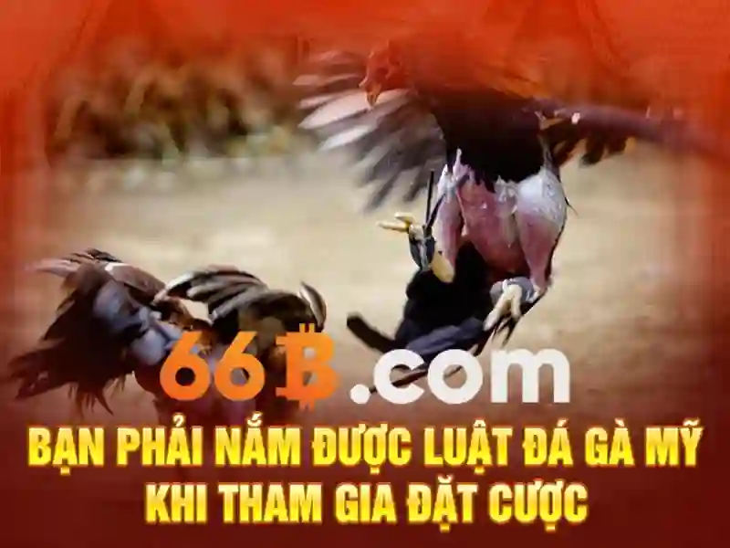 66b it act: Ứng dụng, nguồn gốc và tiềm năng