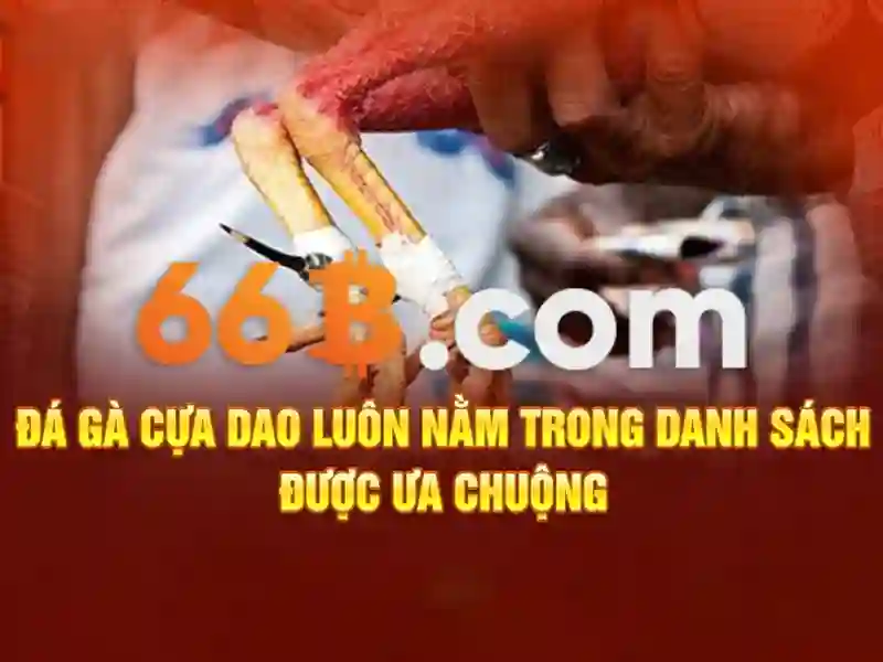 66b trong ngữ cảnh hiện đại