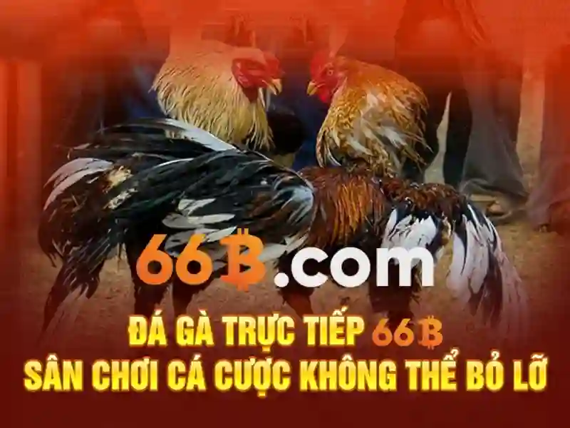 66b đỗ quang – Hành trình thương hiệu và giá trị số nổi bật