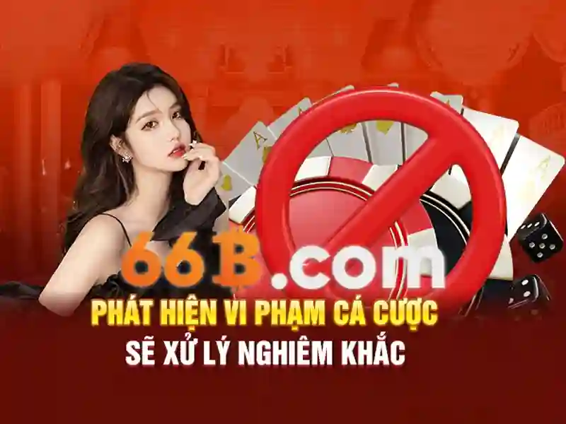 Giao dịch 66b: hành trình đổi mới và trải nghiệm tối ưu