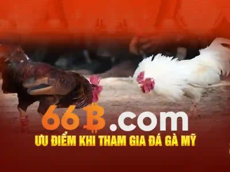 66b nguyễn sỹ sách, p15, quận tân bình - Khảo sát và trải nghiệm