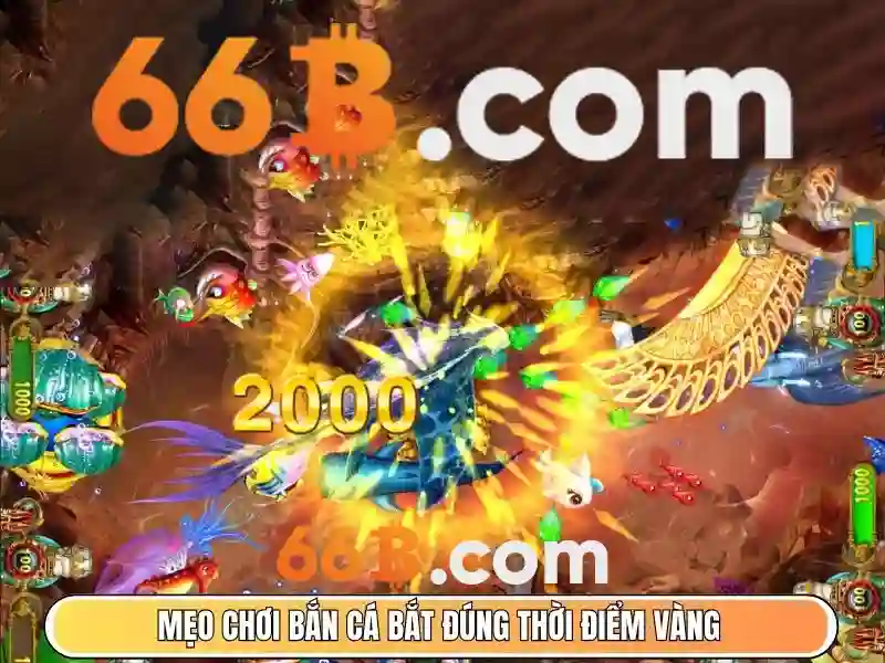 66b cách mạng tháng 8 – Nguồn gốc và sứ mệnh