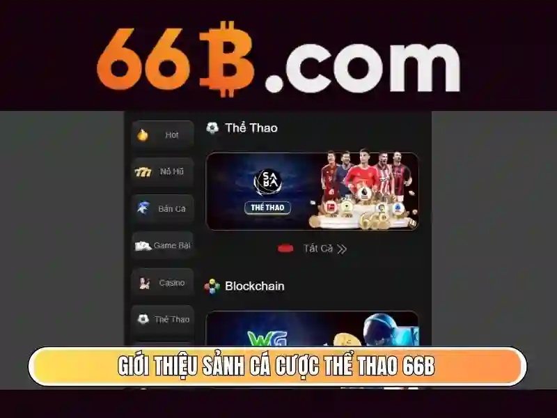 66b là gì và cách hiểu cơ bản