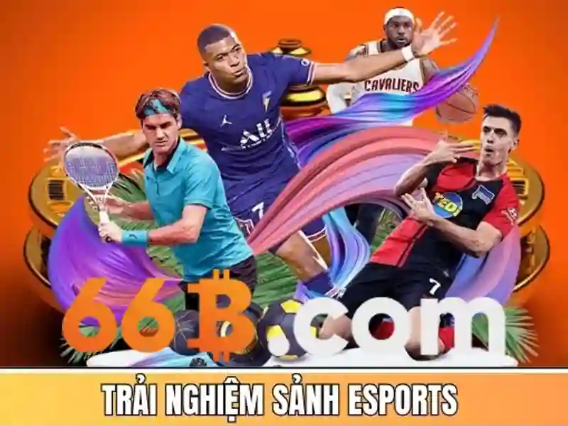 Sản phẩm và dịch vụ chính liên quan đến opt 66b