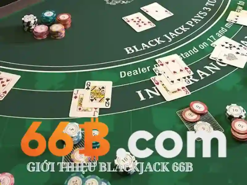 66b bus timetable: Lộ trình, trải nghiệm và định vị thương hiệu