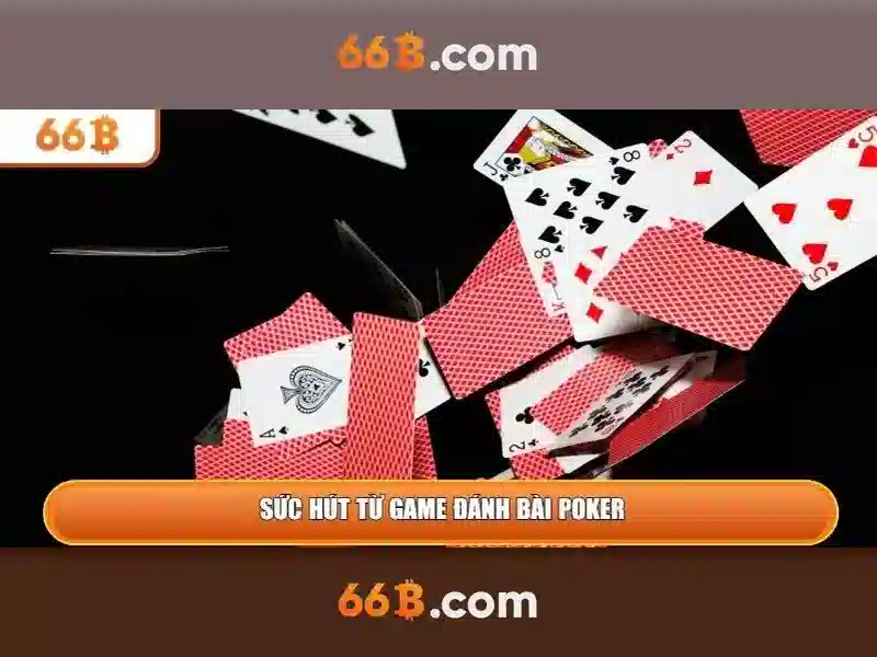 Kiến trúc và khả năng