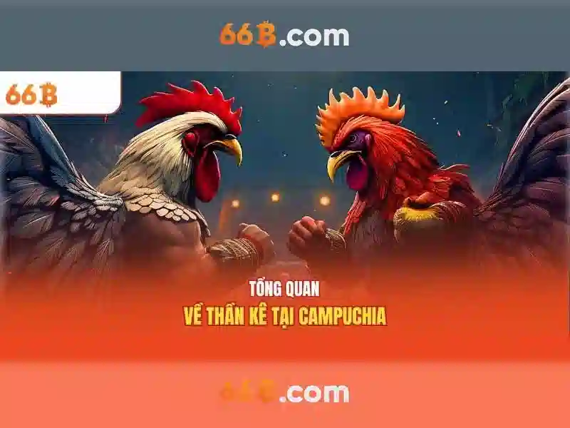 it act 66b – khám phá nền tảng, sản phẩm và trải nghiệm cùng 66b apk