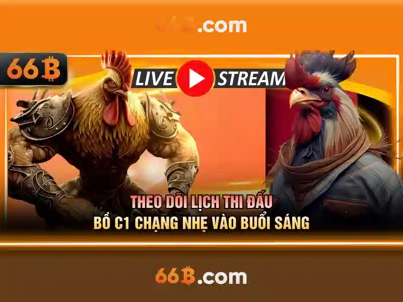 66b nguyễn sỹ sách phường 15, quận tân bình – Tổng quan chủ đề và giá trị cốt lõi