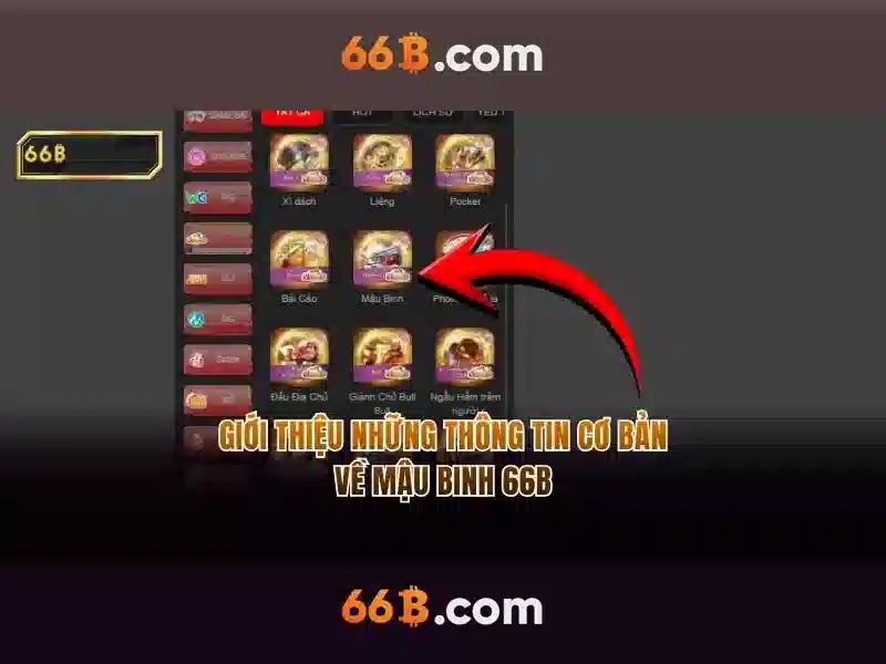 art 66b – Tổng quan chủ đề và giá trị cốt lõi