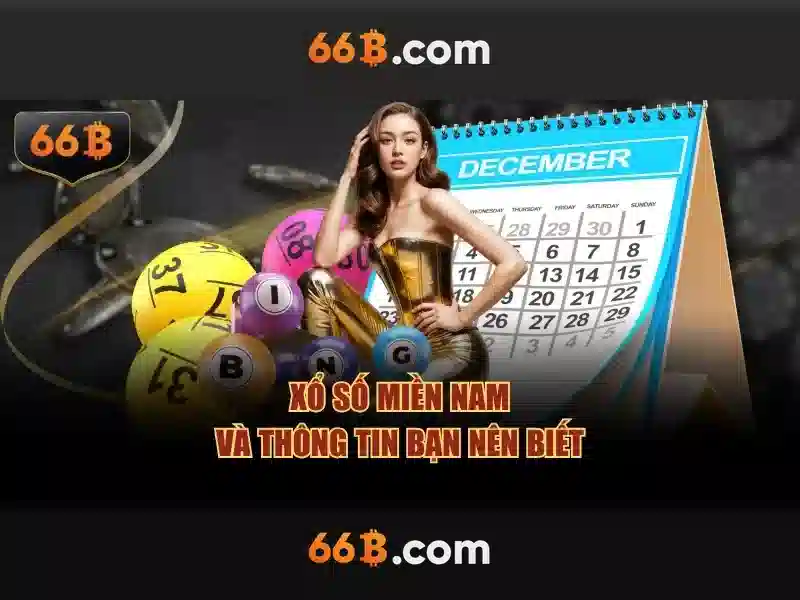 66b nguyễn sỹ sách phường 15, quận tân bình – Tổng quan