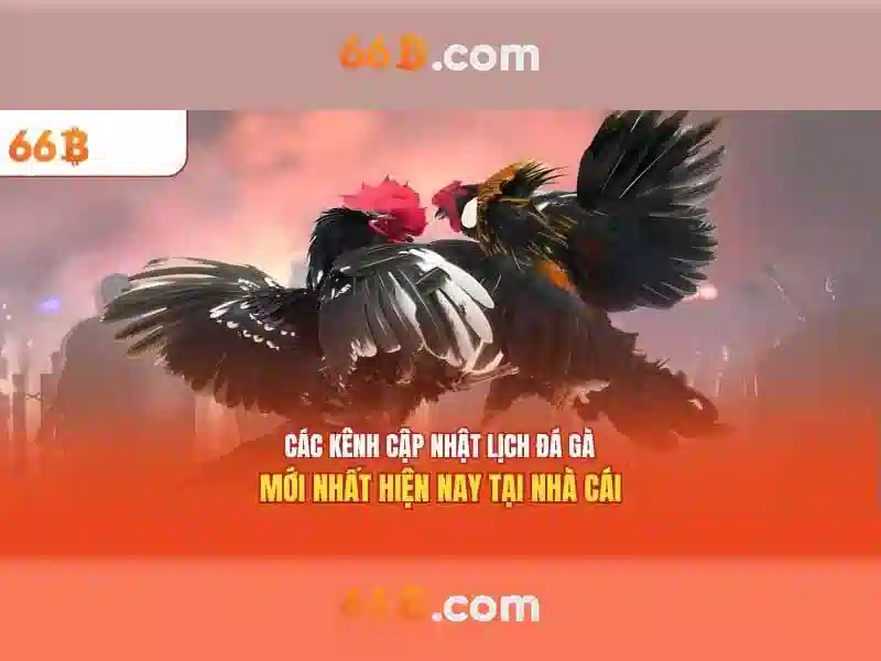 Kiến trúc và huấn luyện