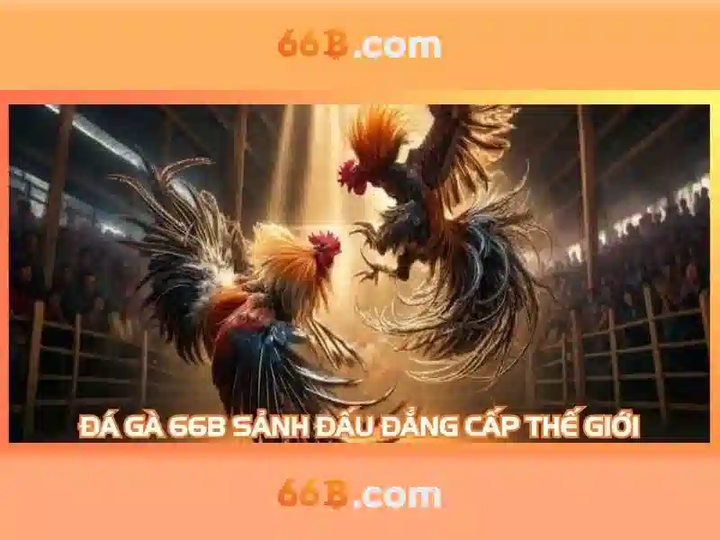 Nguồn gốc và ý nghĩa của 66b