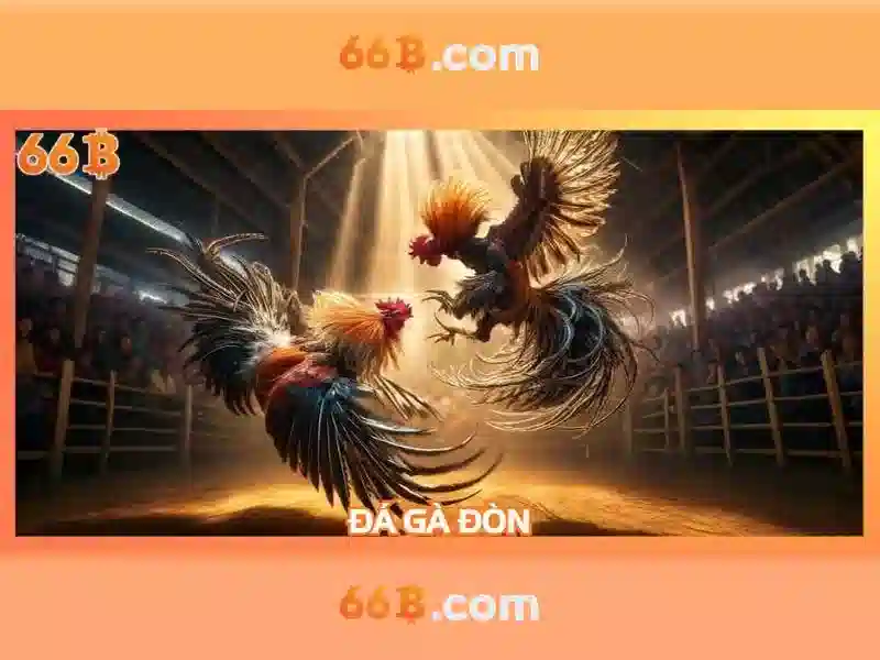 66B: Kích thước, ý nghĩa và cách chọn áo ngực