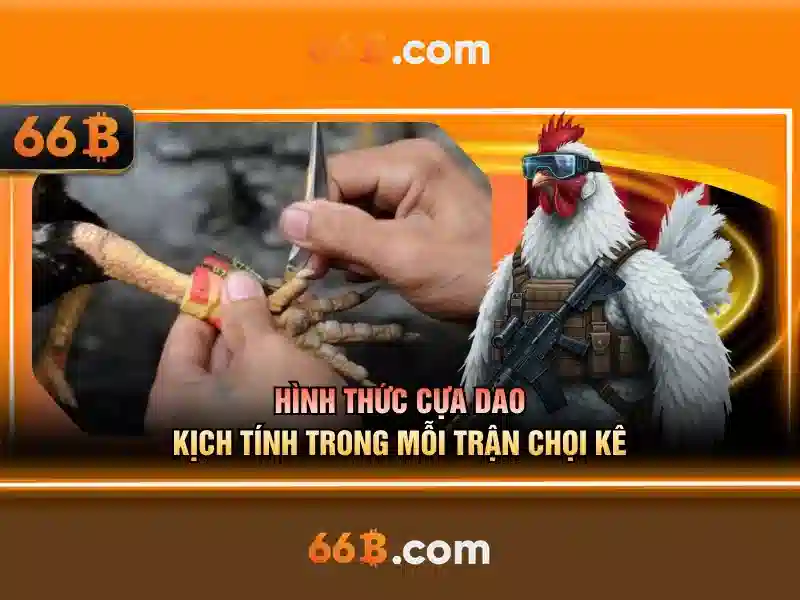 it act 66b – khám phá nền tảng, sản phẩm và trải nghiệm cùng 66b apk