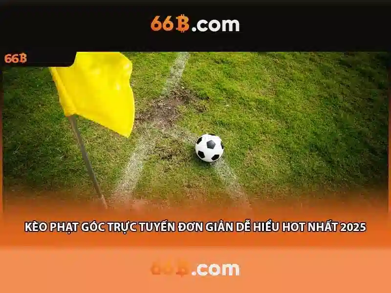 66b it act: Ứng dụng, nguồn gốc và tiềm năng
