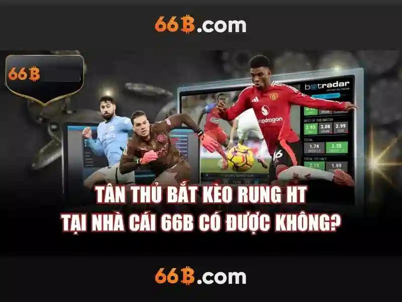 66b là gì và tiềm năng của nó