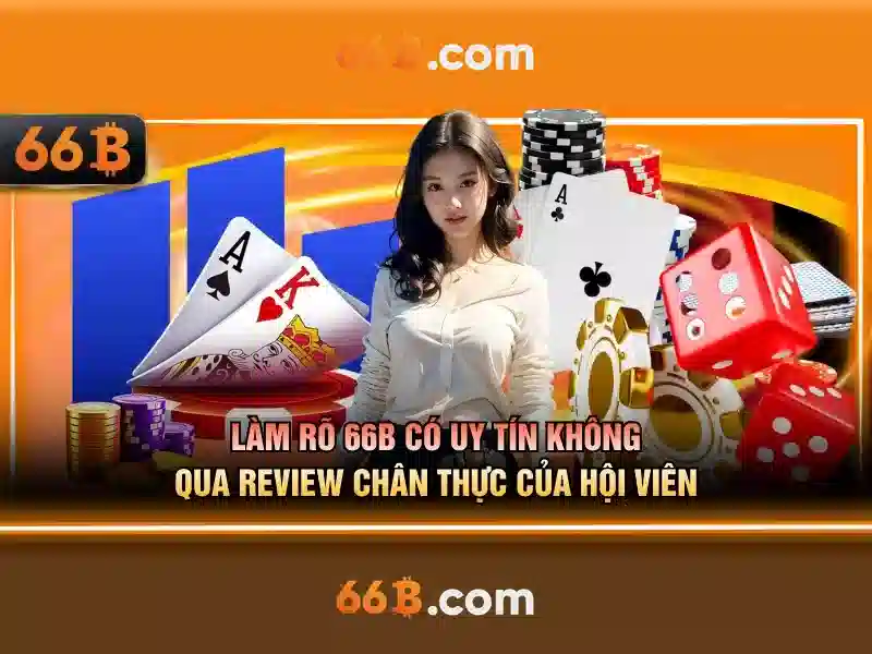 Trải nghiệm người dùng và phản hồi cộng đồng