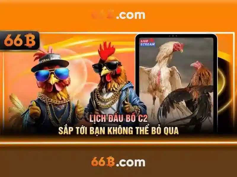 Kiến trúc và đặc điểm của 66b<h>Ứng dụng và ảnh hưởng của 66b</h><p><span style=