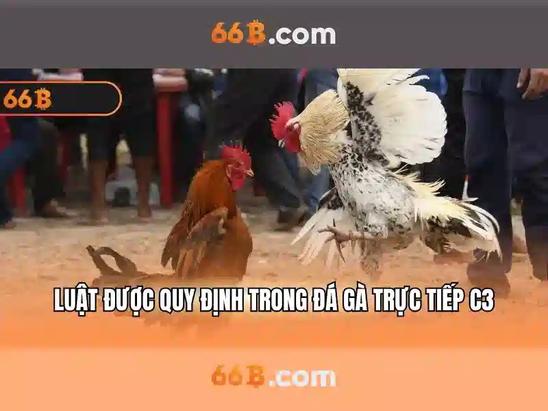 3. Sản phẩm và dịch vụ cốt lõi của kepler 66b: ứng dụng thực tế