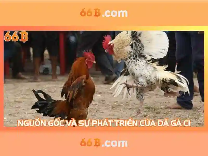 66B: Mô hình AI quy mô lớn