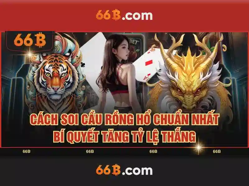 66B: Khái niệm, kiến trúc và tiềm năng