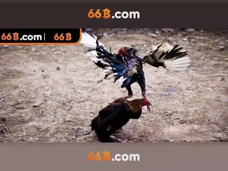 Nguồn gốc và ý nghĩa
