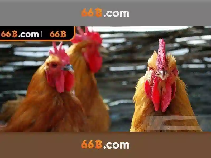 Mô hình ngôn ngữ 66B: Tổng quan và ứng dụng
