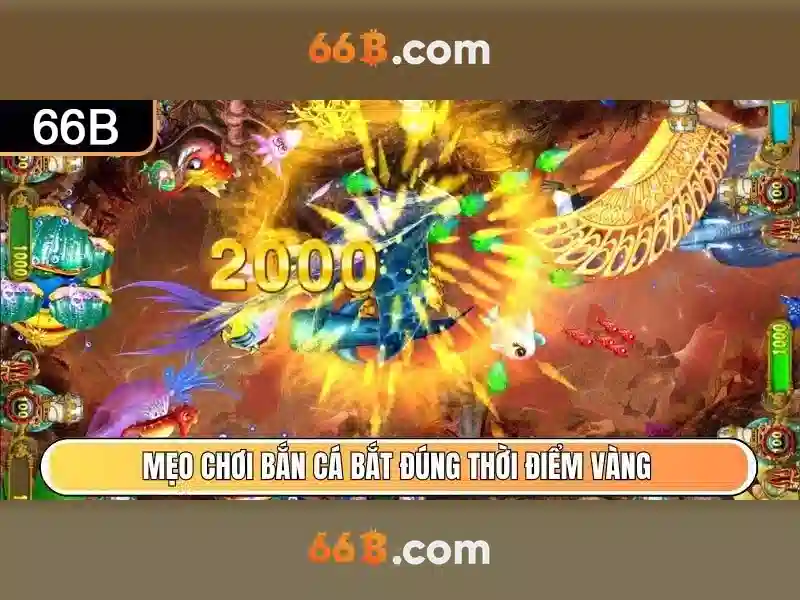 ưu đãi 66b – Tổng quan chủ đề và giá trị cốt lõi