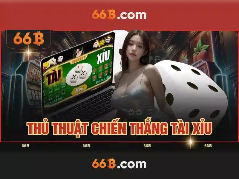 66B là gì