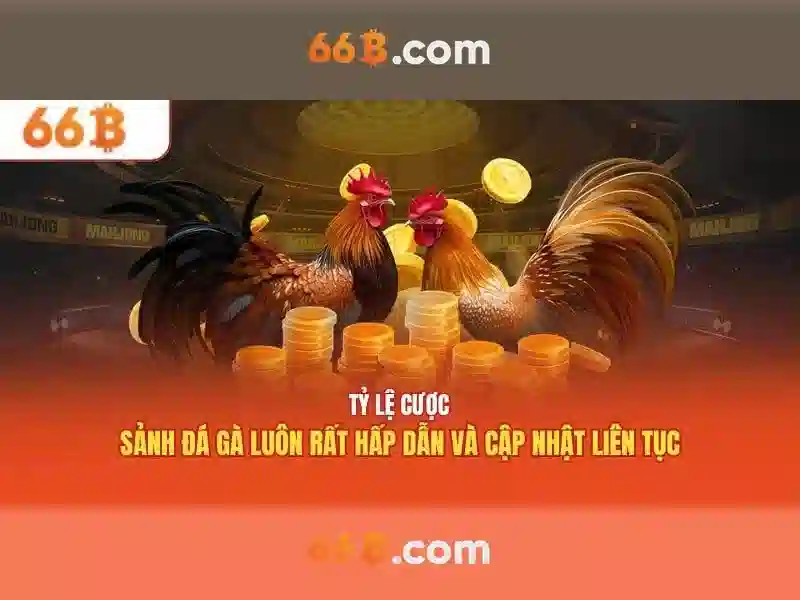66B: Mô hình ngôn ngữ lớn - một tầm nhìn mới cho AI