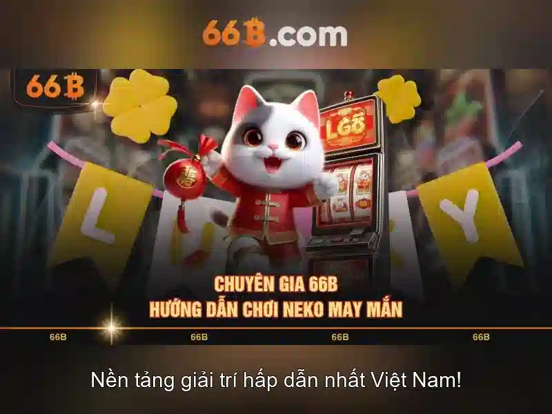 66b: Khái niệm, nguồn gốc và ảnh hưởng