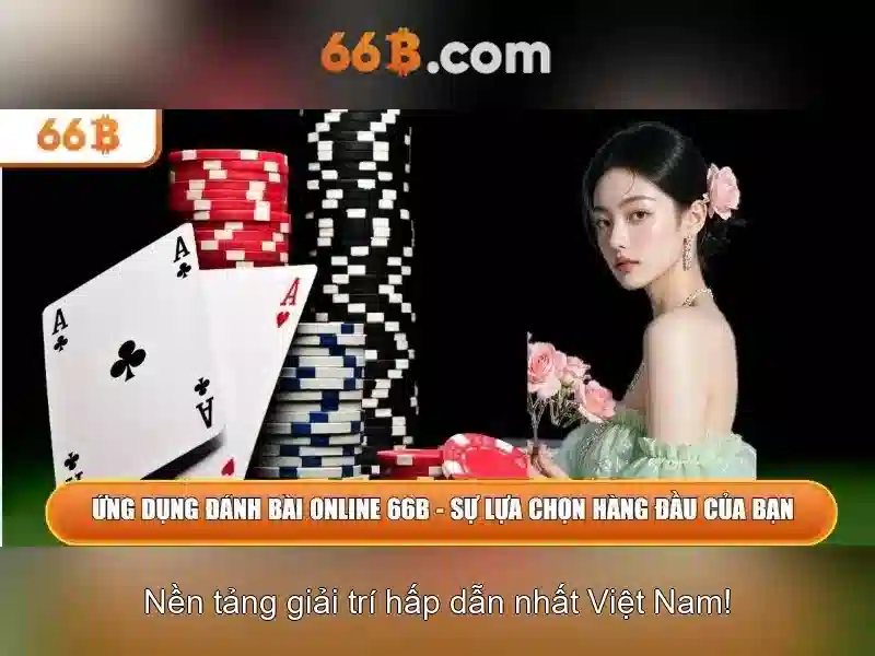 Đào tạo và tối ưu hóa