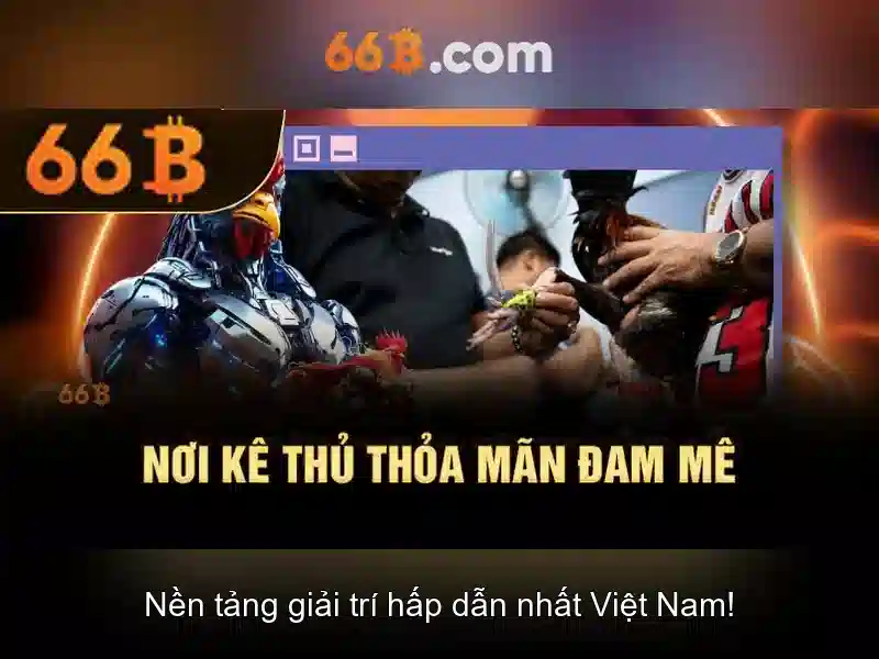 66b: Một con số mang nhiều ý nghĩa