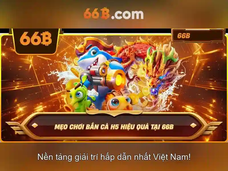66B là gì?