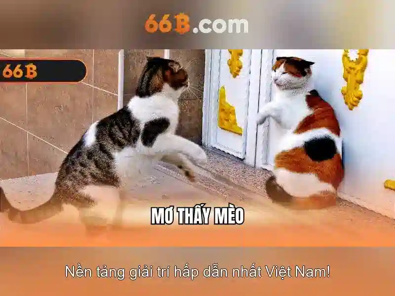 Ứng dụng và thách thức