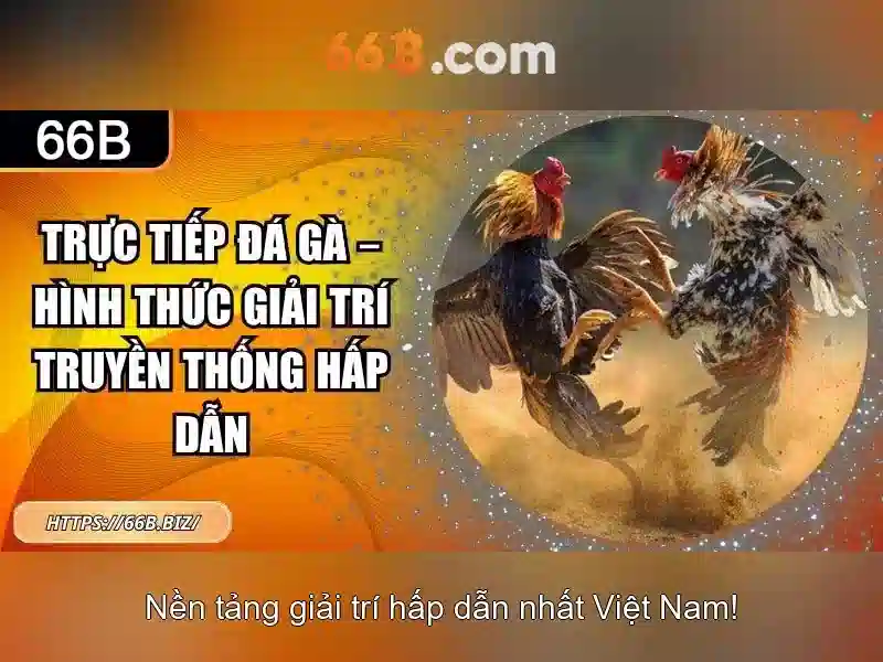 Hiệu suất và kiến trúc cơ bản<h3>Khai thác và ứng dụng</h3><p><span style=