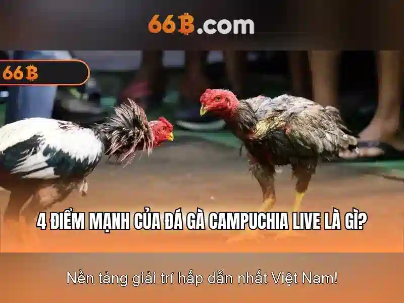 66b: một mô hình ngôn ngữ lớn cho nhiều ứng dụng