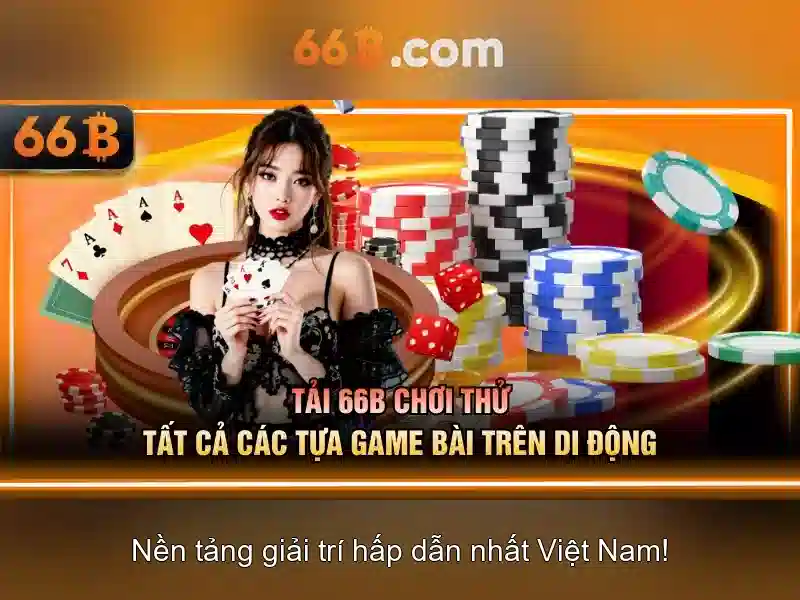 66b là gì và cách hiểu cơ bản