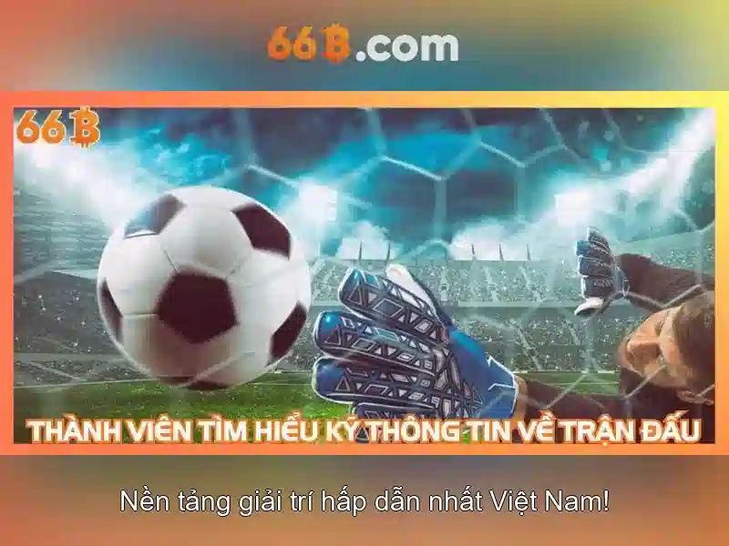 Cấu trúc và kích thước của 66B