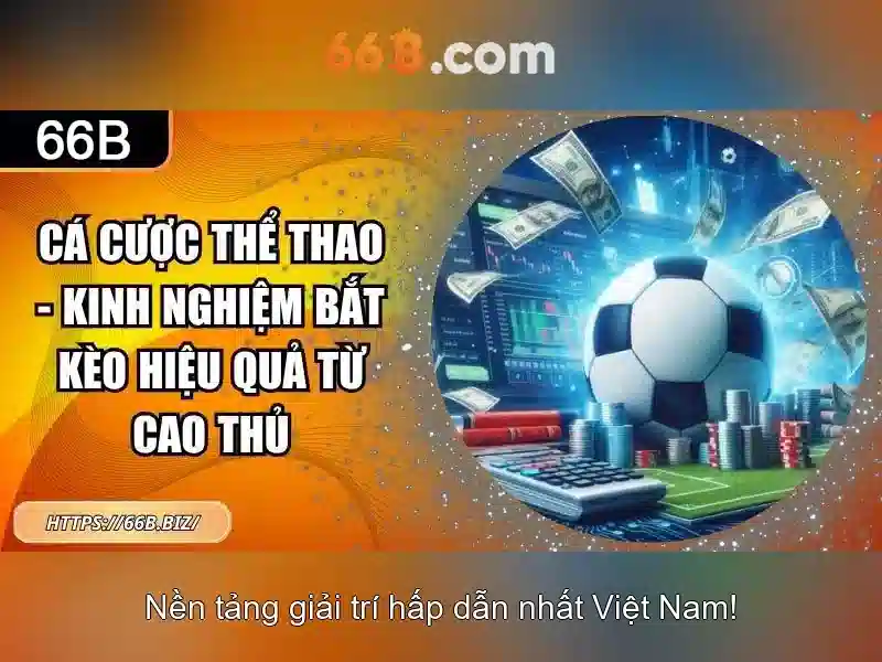 Ứng dụng thực tế và nghiên cứu tình huống