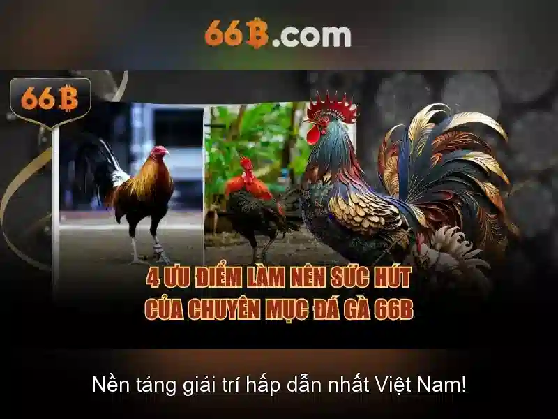 66b: Mô hình ngôn ngữ quy mô lớn trong thế giới AI