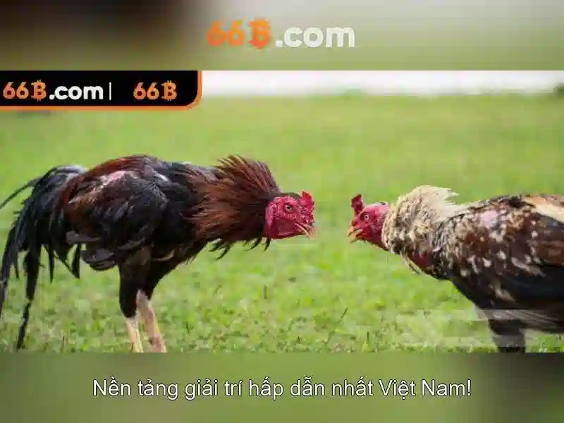 Kiến trúc tổng quát của 66b