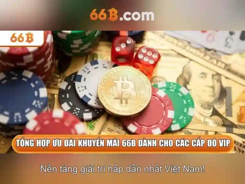 Giới thiệu về 66B
