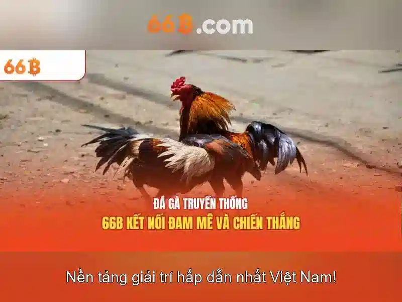 66B là gì và tại sao nó quan trọng trong AI hiện đại