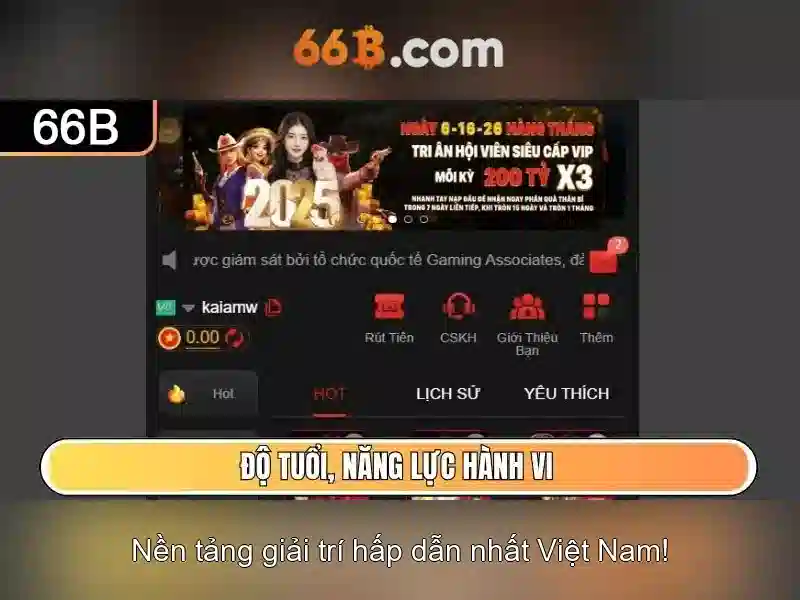 66b là gì?
