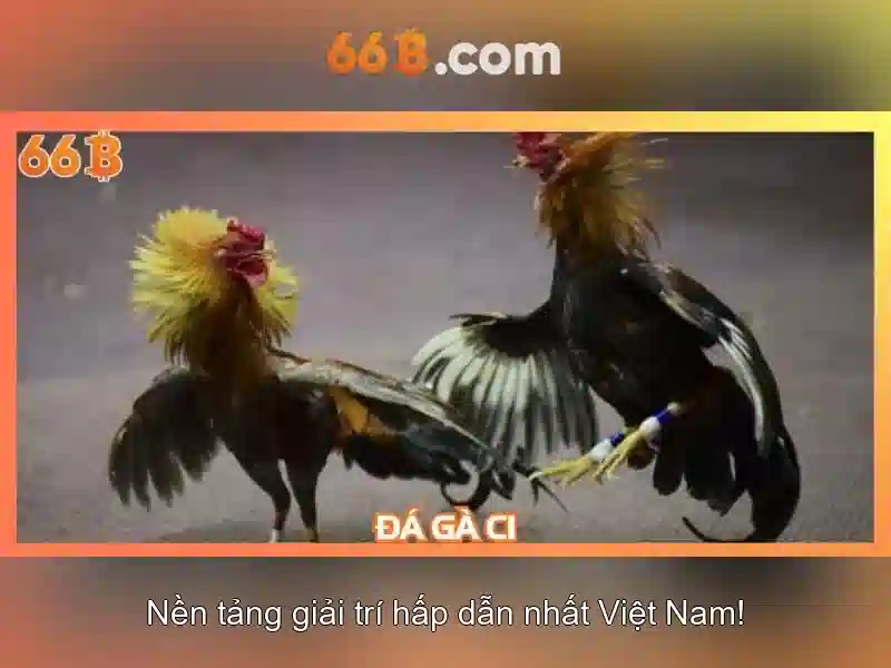 Ứng dụng hiện đại của 66b