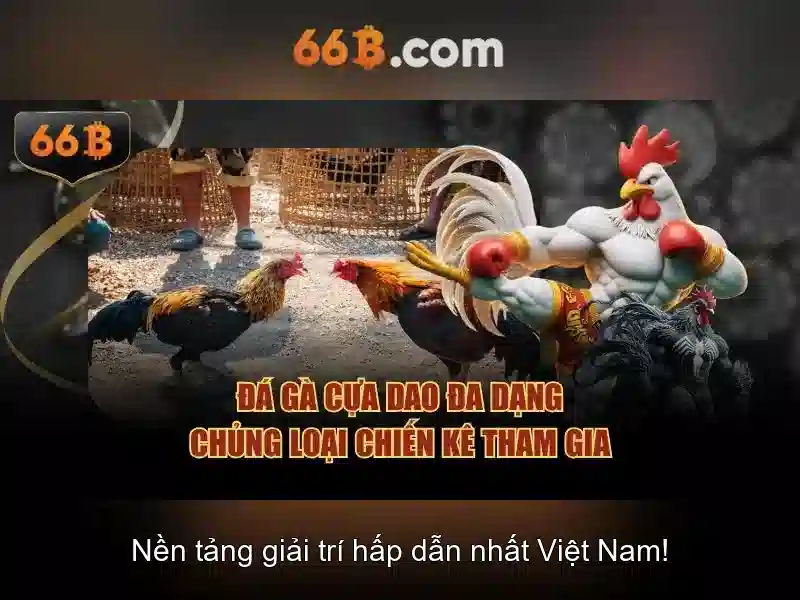 66b và những gì nó đại diện