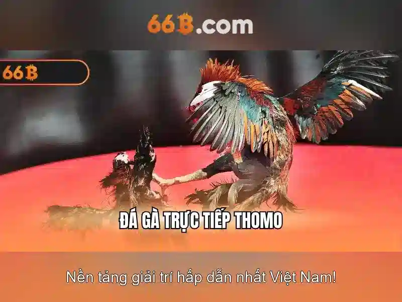 Ứng dụng của 66b trong đời sống công nghệ