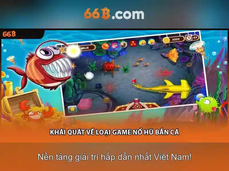 66b là gì