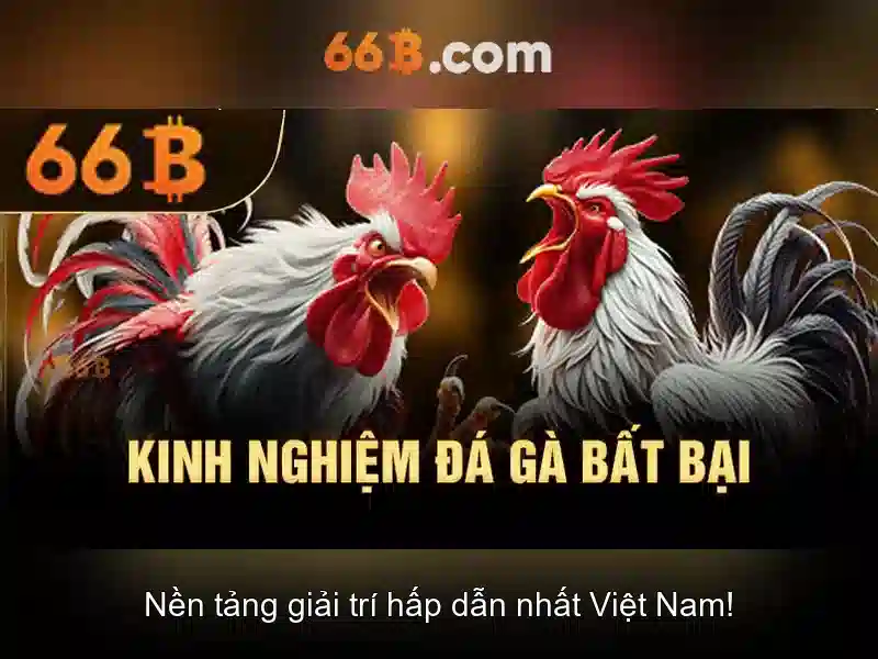 Ứng dụng và thách thức